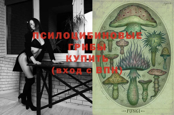 шишки Семёнов