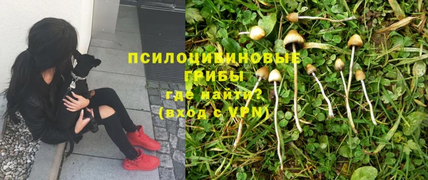трава Семилуки